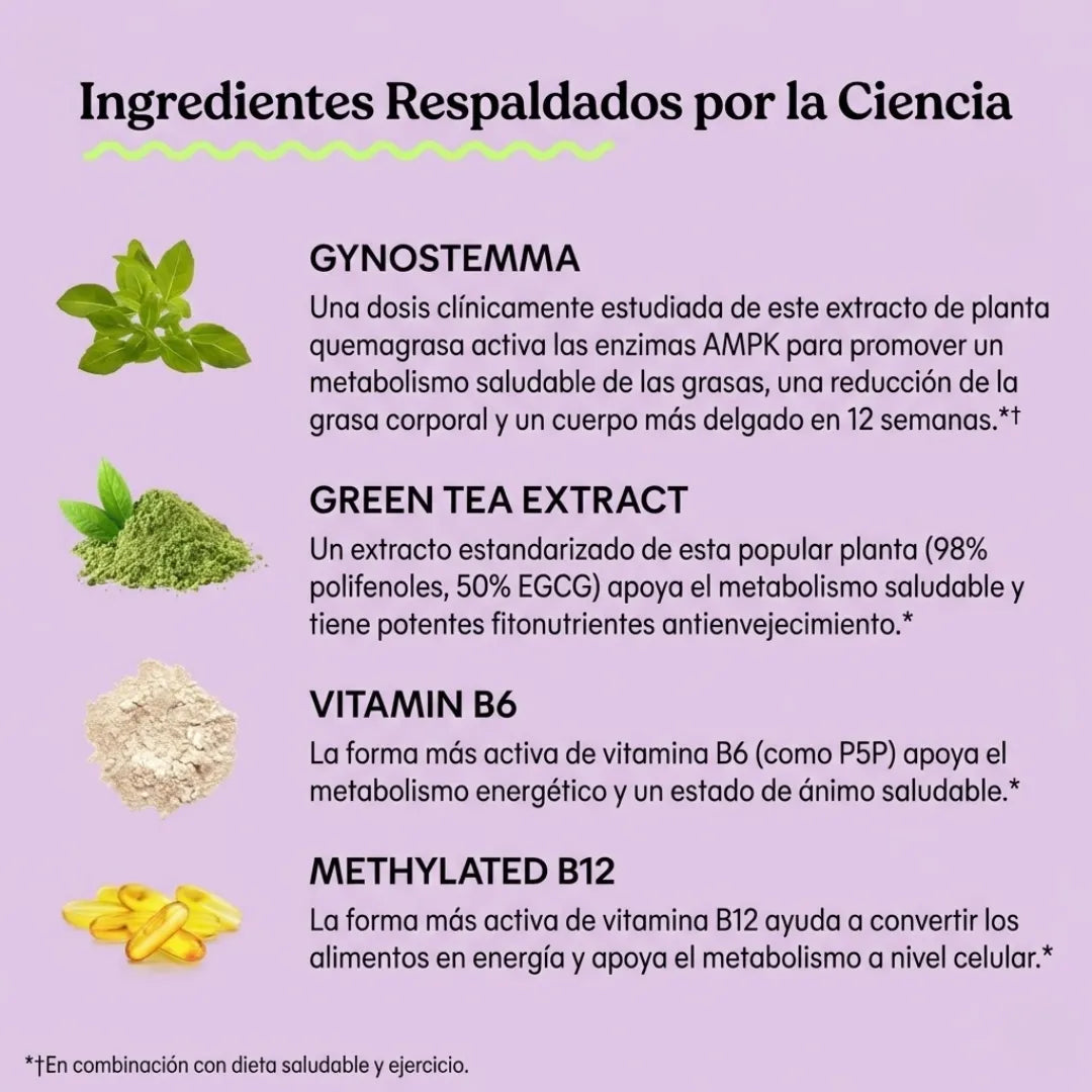 Lemme Burn – Activador de Metabolismo & AMPK (60 cápsulas veganas)